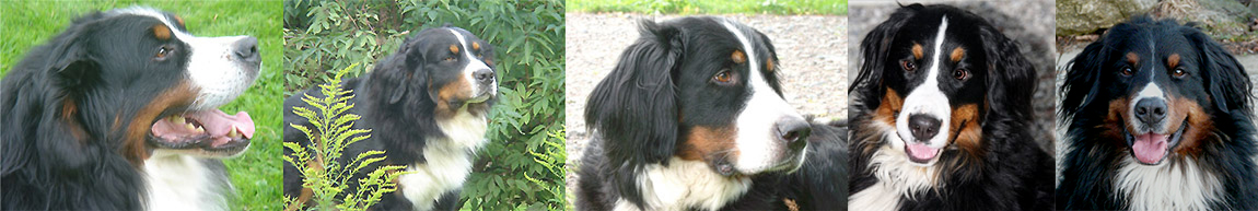 Filmstars - Dyon, Quincey, Uly, Gina